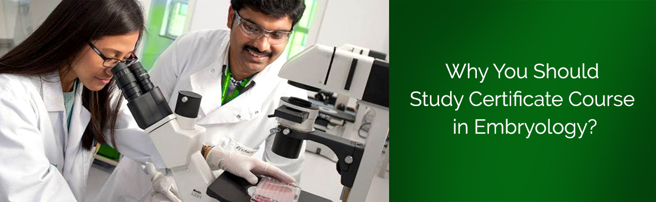 Why Study Certificate Course in Embryology at IIRFT? Why Study Certificate Course in Embryology at IIRFT?