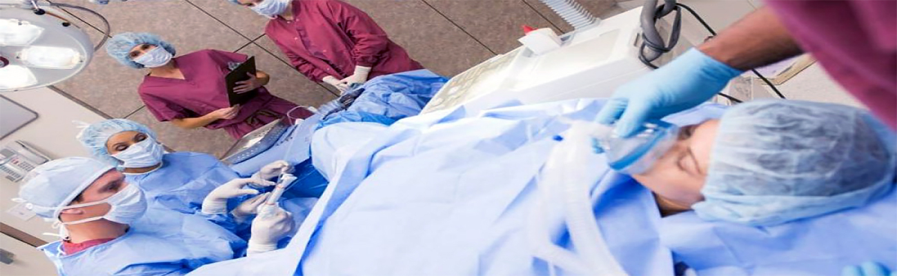 Embryology, How Embryology Course helps you to enhance your ART skills?